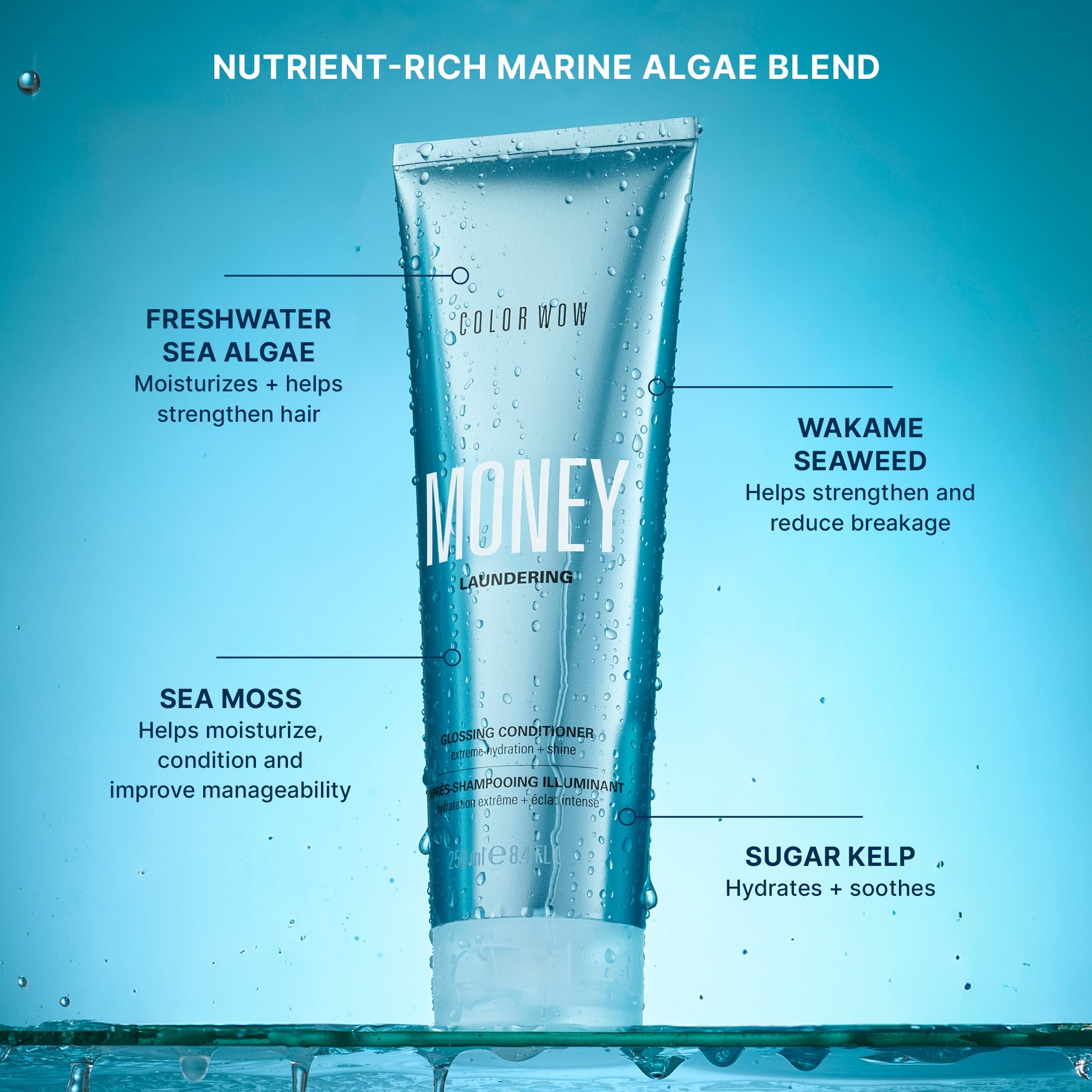 Money Laundering Glossing Conditioner