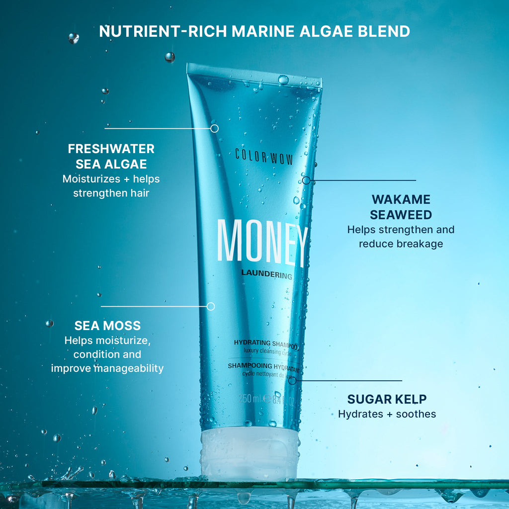 Money Laundering Hydrating Shampoo
