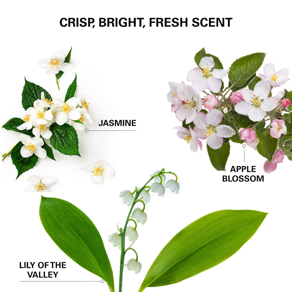Crisp, Bright, Fresh scent - Jasmin, Apple blossom & Lily of the valley