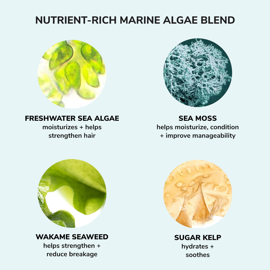 Nutrient-rich marine algae blend with images and descriptions of freshwater sea algae, sea moss, wakame seaweed, and sugar kelp.
